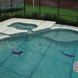 Nice Pool with Dolphin Accents